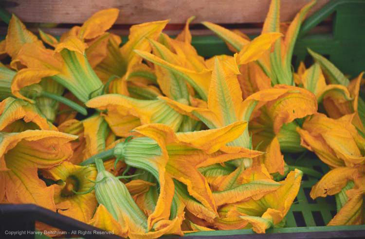 Florence Market Zucchini Blossom.jpg